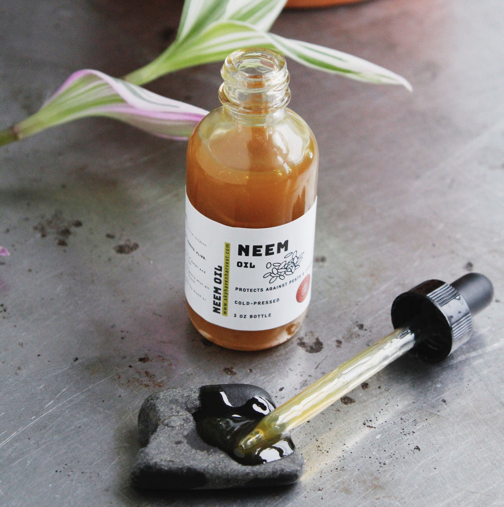 Neem oil with dropper open