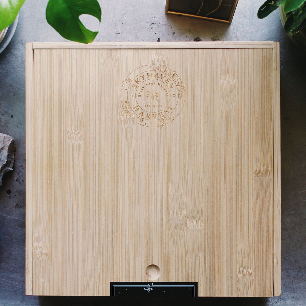 Bamboo Gift Box