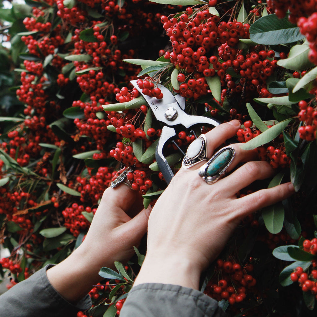Japanese Bypass Pruners cutting red plant
