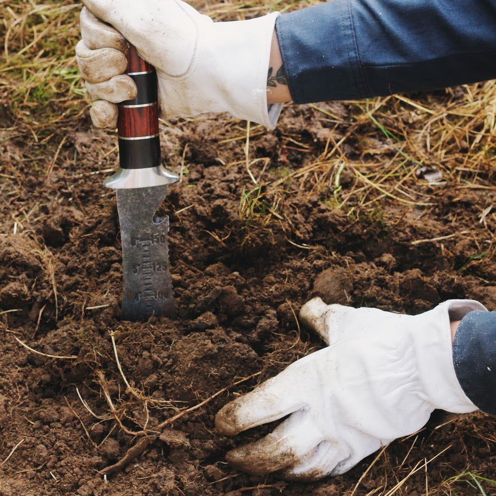 Digging with a Hori Hori Garden Tool