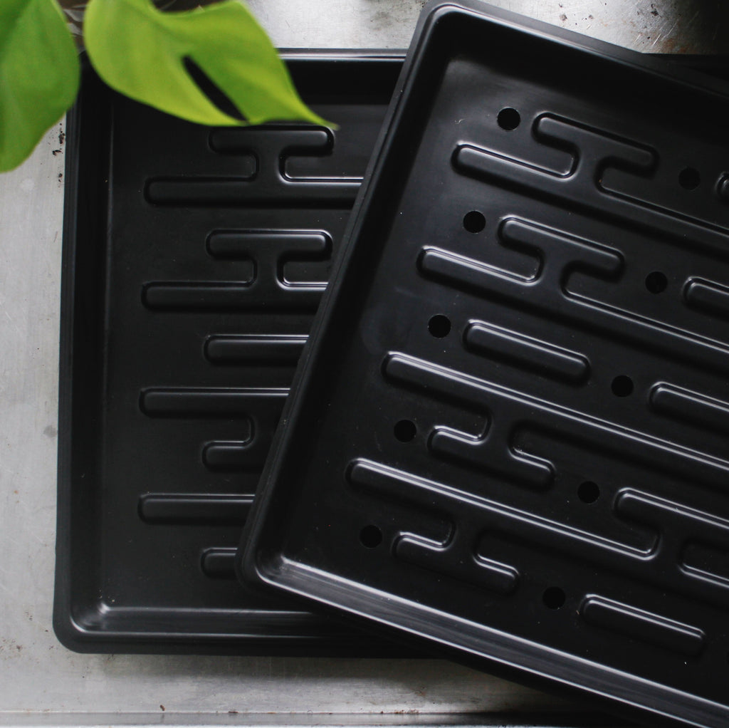 Growing Trays 10x20 inch [set of 5]